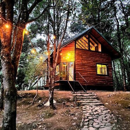 Unicorn Lodge: Direct Riverfront : Unique Experience San Gerardo de Dota Exterior photo