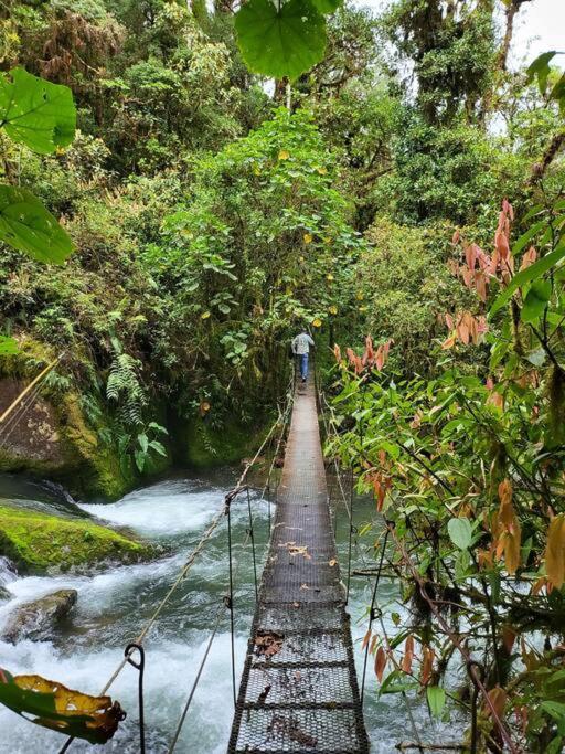 Unicorn Lodge: Direct Riverfront : Unique Experience San Gerardo de Dota Exterior photo
